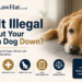 is it illegal to put your own dog down